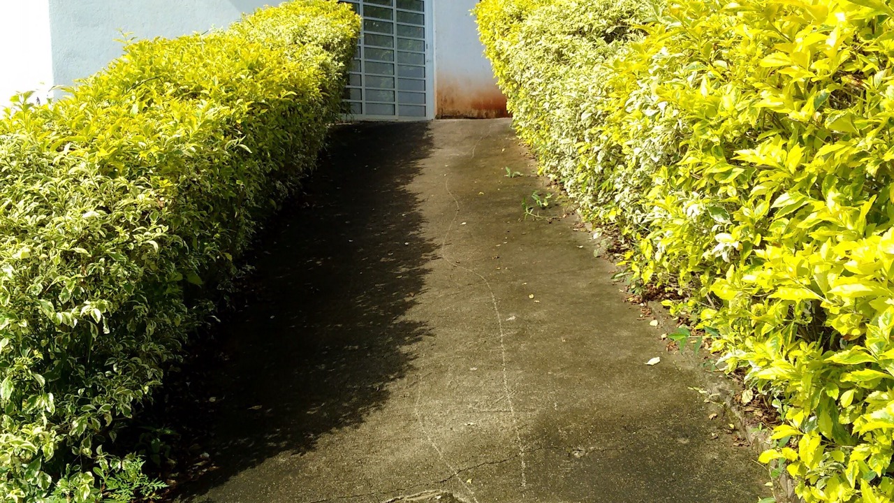 Photo of Outdoor in Centro