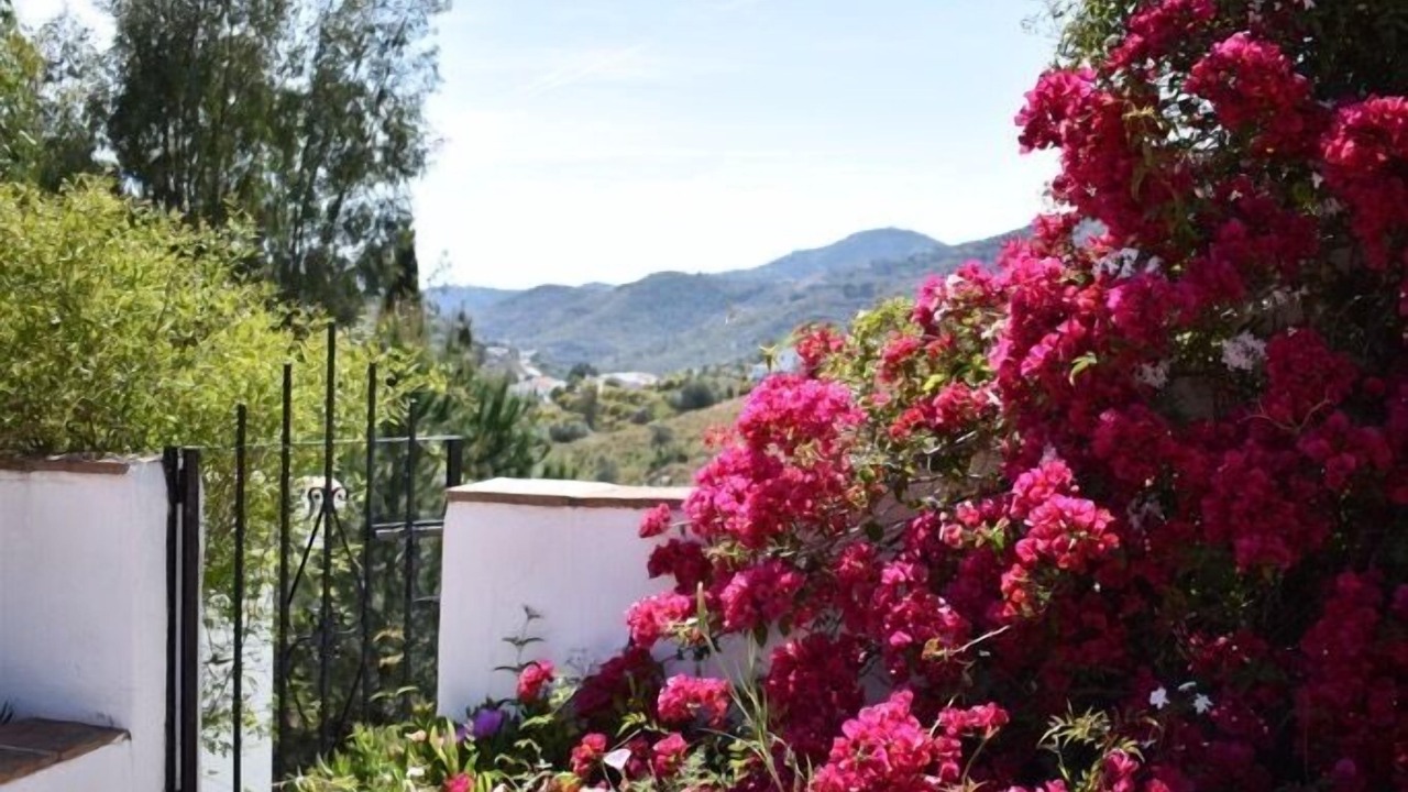 Photo of Outdoor in Competa