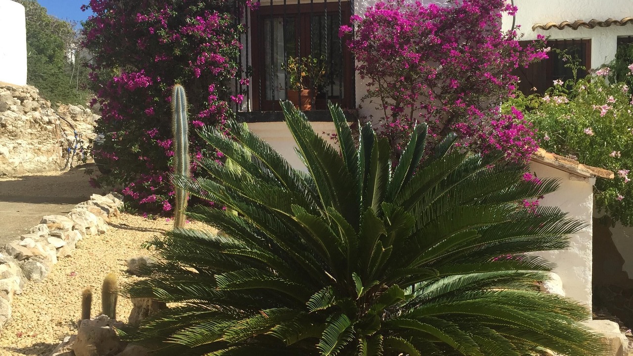 Photo of Outdoor in Javea