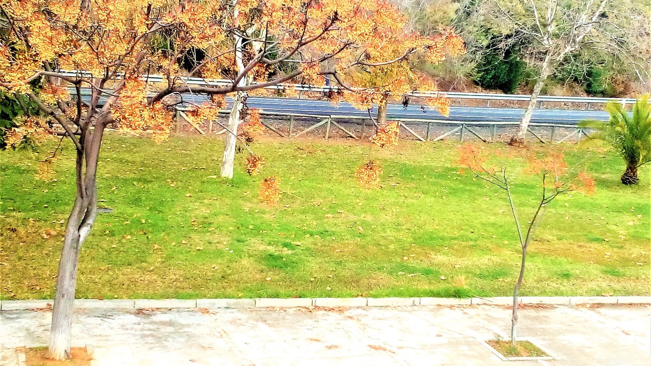Photo of Others in Islantilla