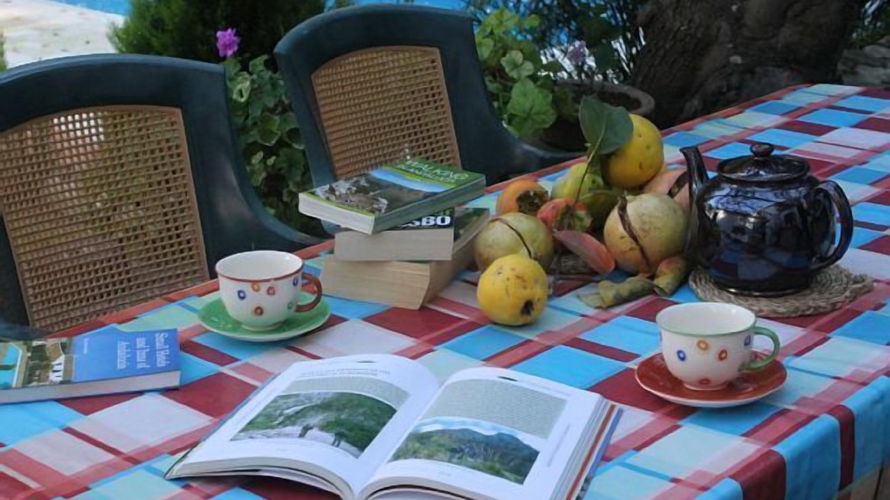 Photo of Outdoor in Benaojan