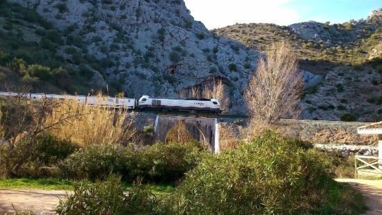 Photo of Outdoor in Benaojan