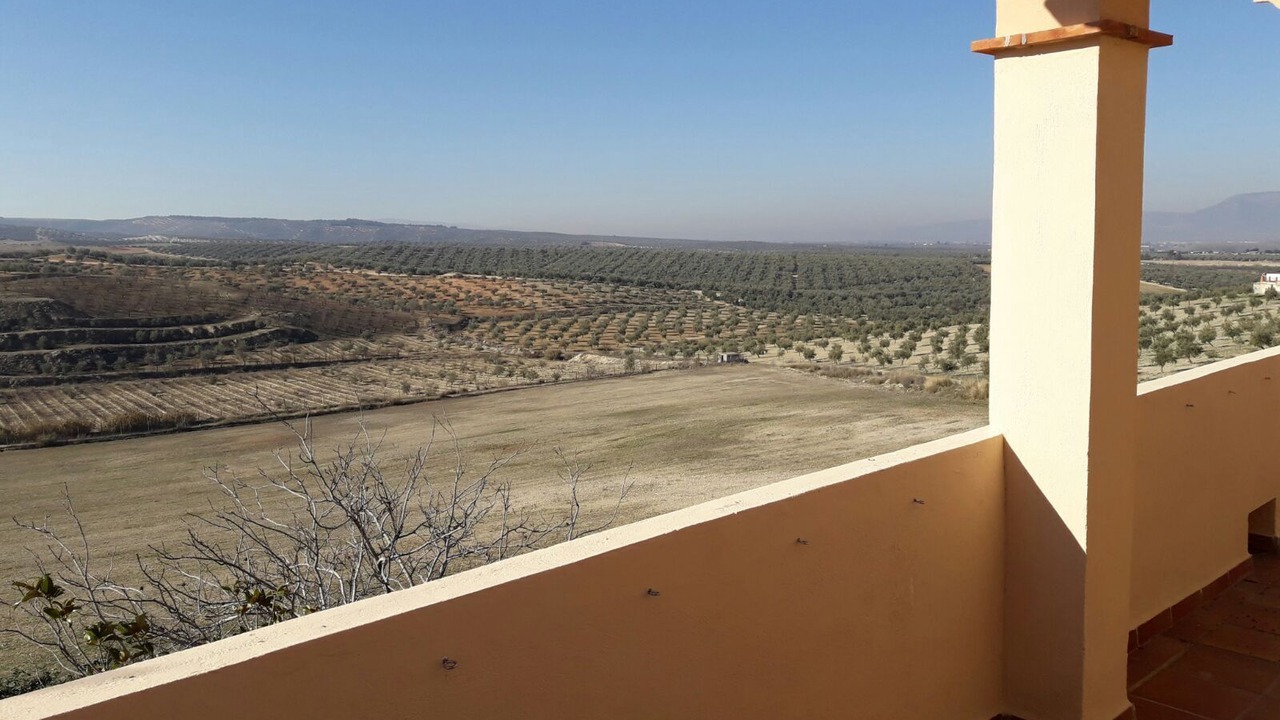 Photo of Outdoor in Cullar Vega