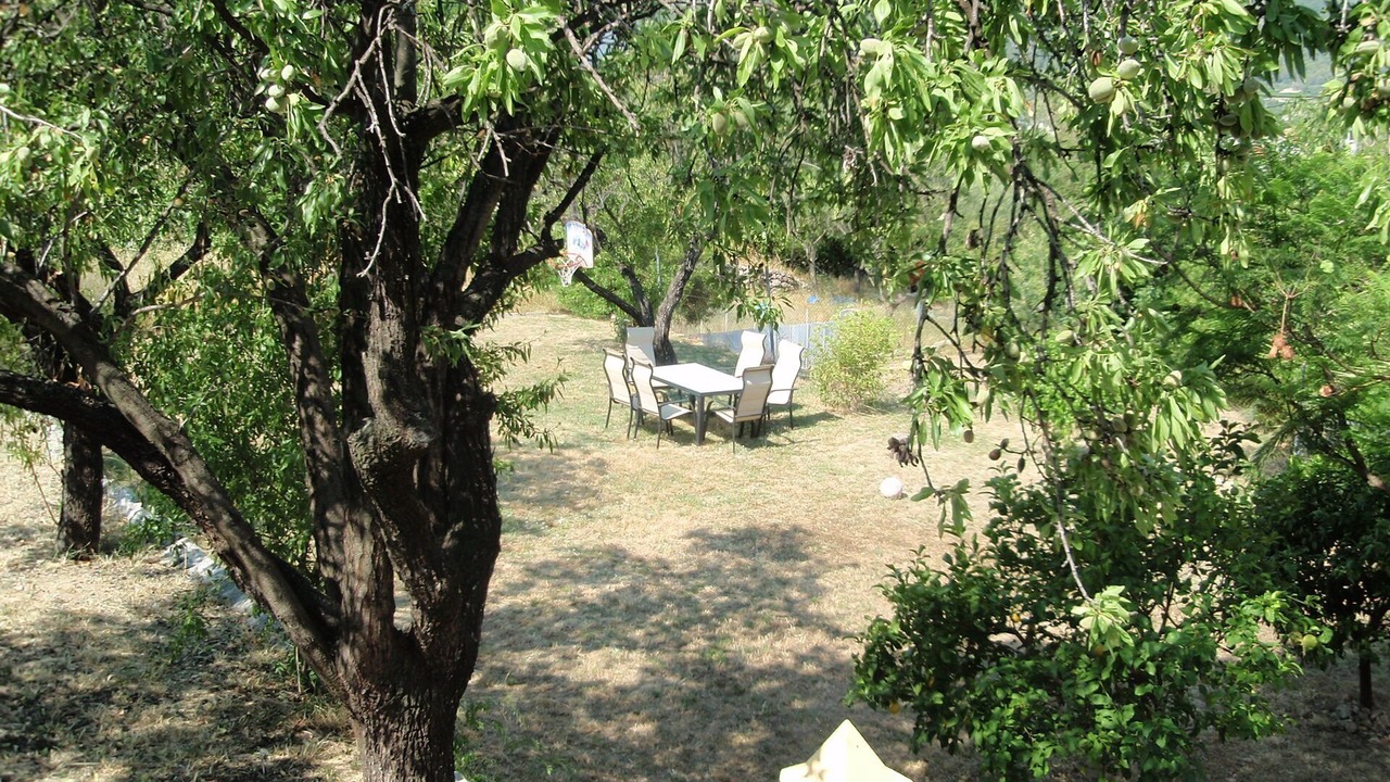 Photo of Outdoor in Orba