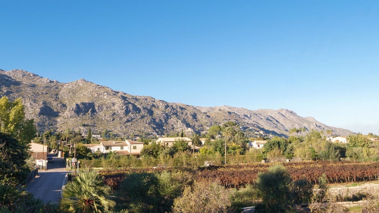 Photo of Others in Pollensa