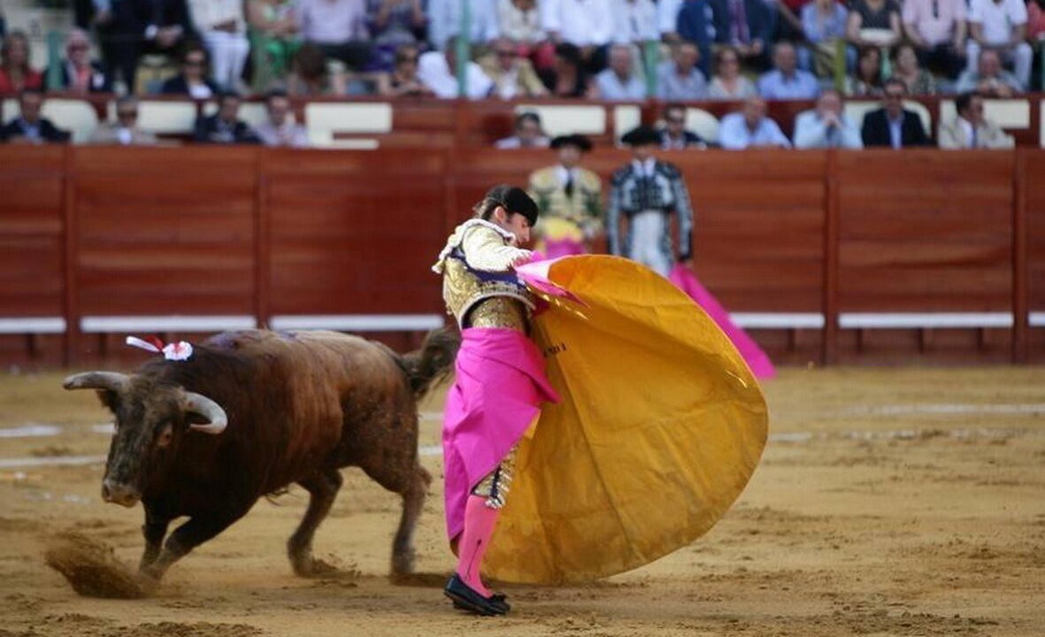 Photo of Others in Jerez de la Frontera Old Town