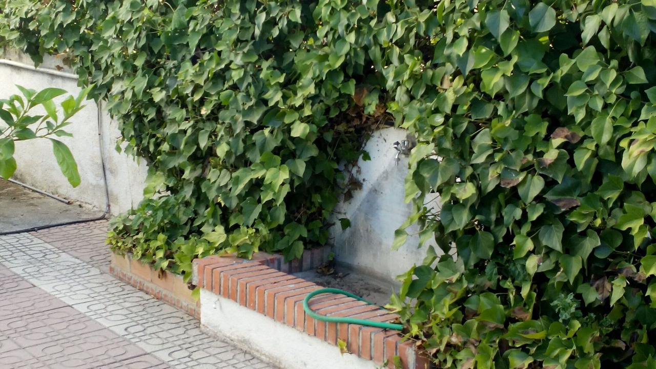 Photo of Outdoor in Padul