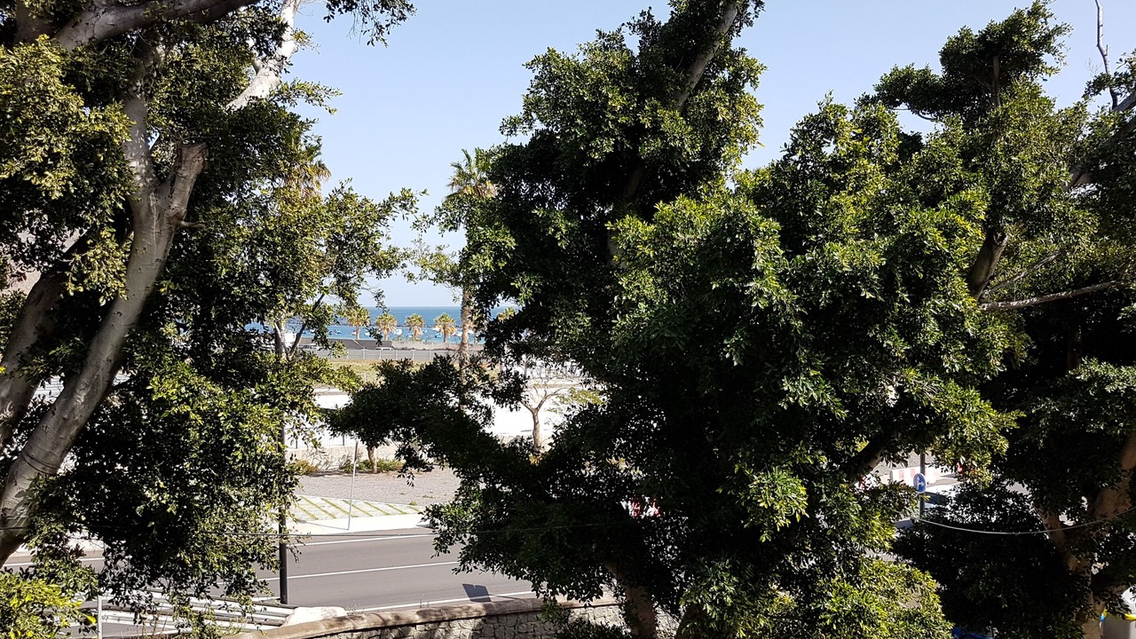 Photo of Outdoor in San Andres