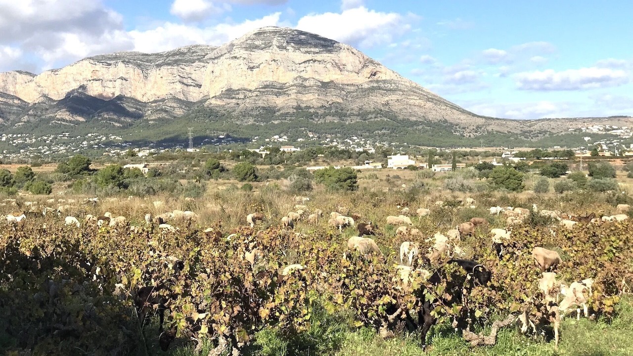 Photo of Outdoor in Tarraula