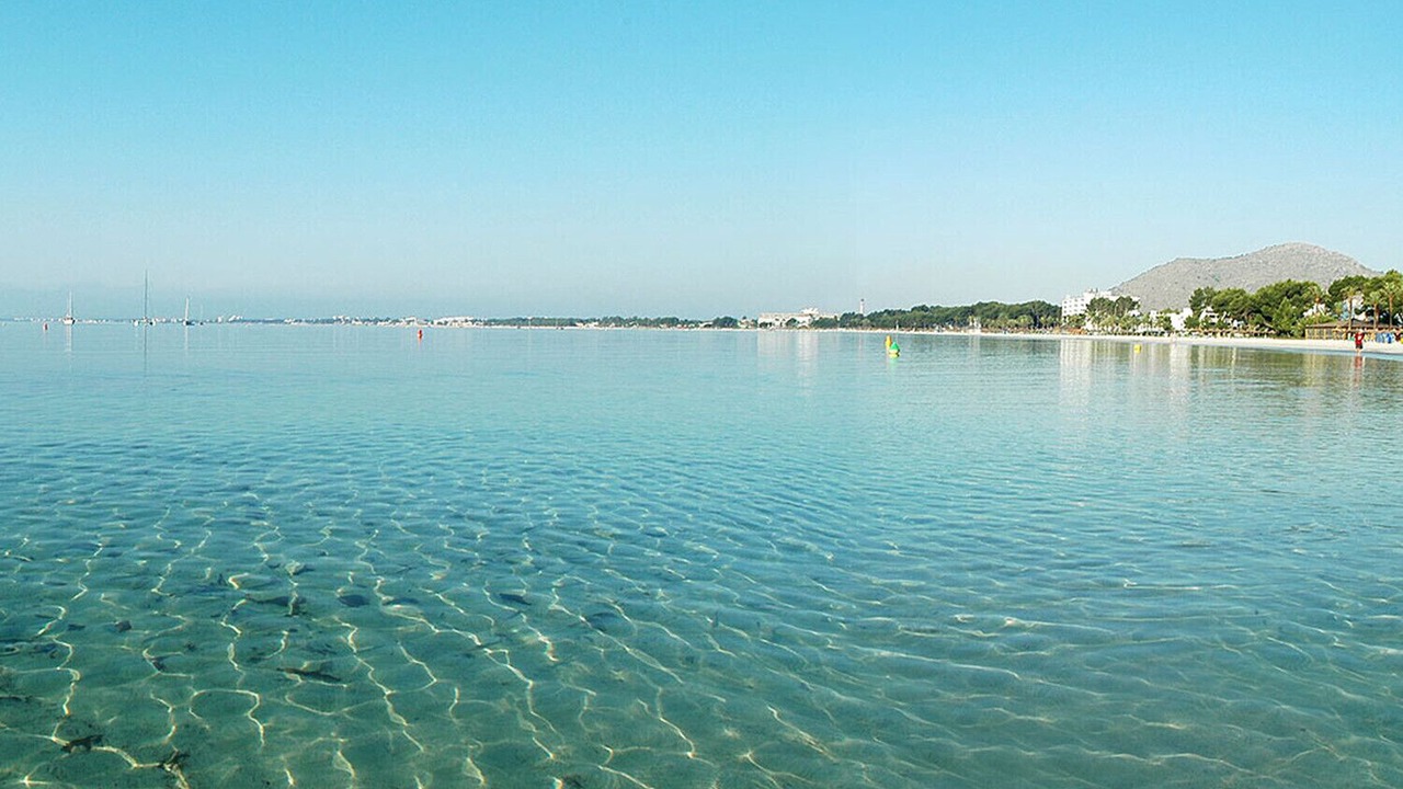 Photo of Others in Alcudia