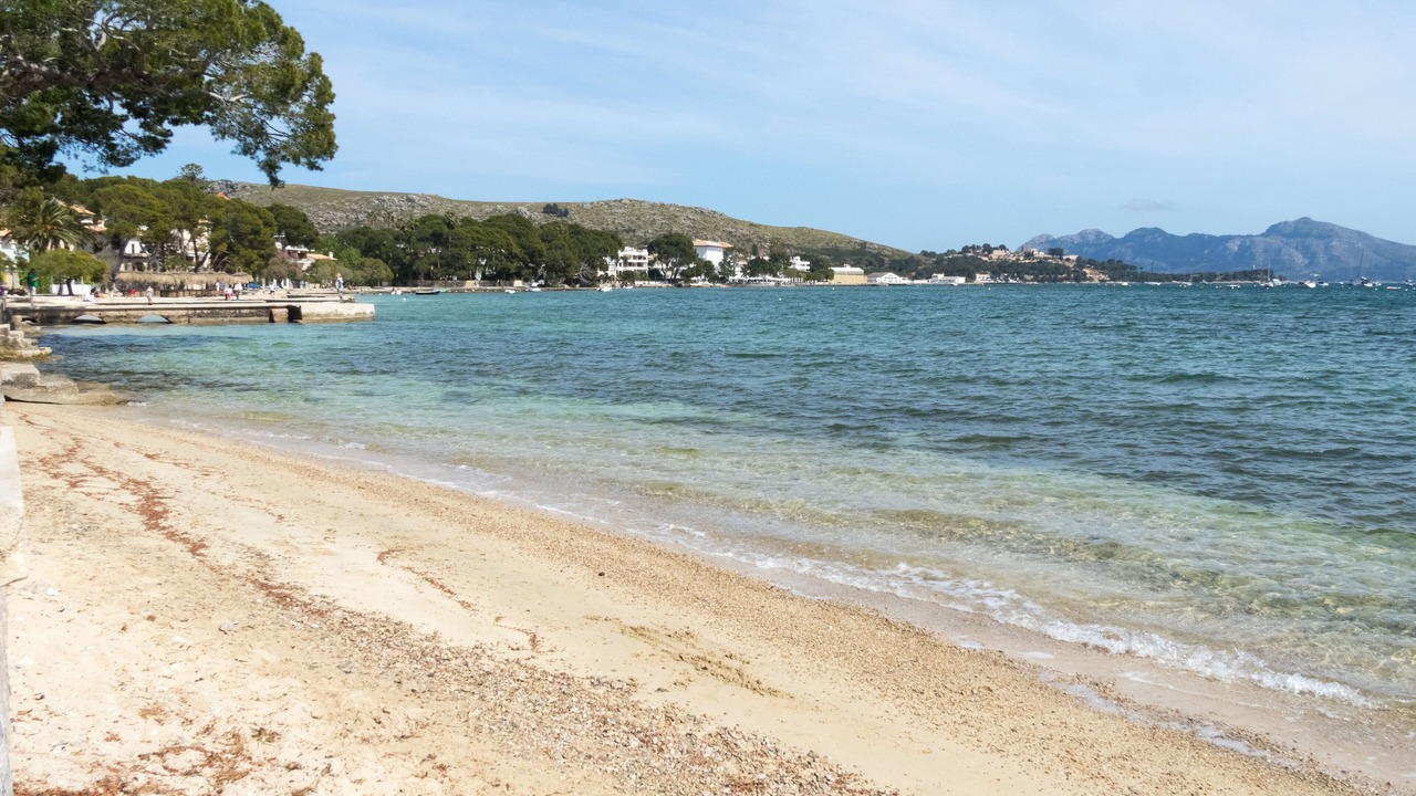 Photo of Others in Puerto de Pollensa