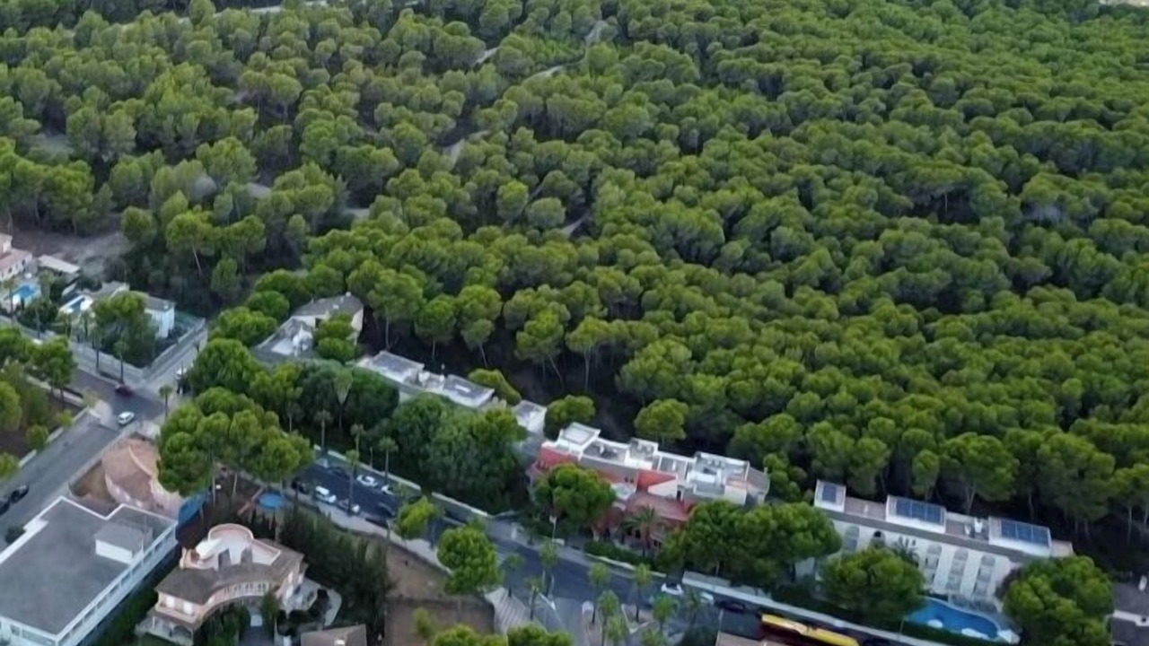 Photo of Outdoor in Son Baulo