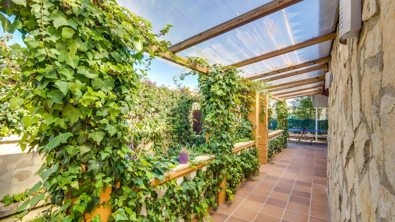 Photo of Patio Balcony in Alcudia