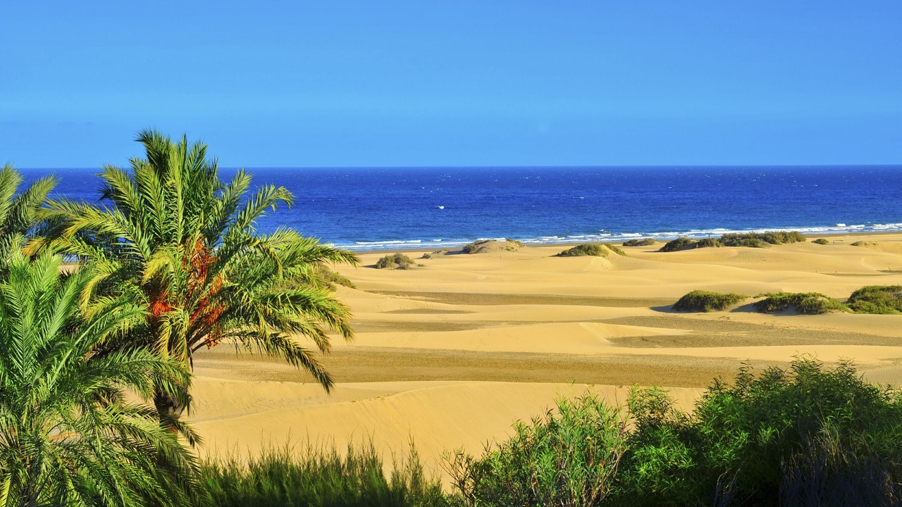 Photo of Others in Maspalomas