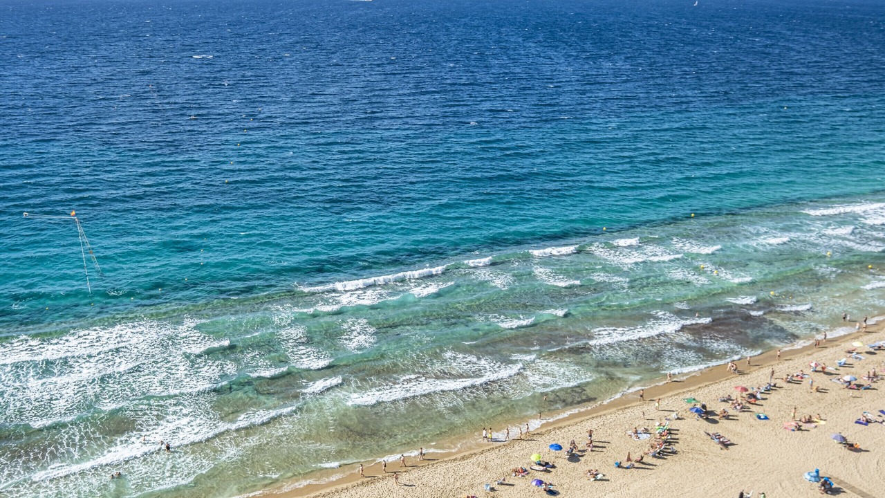 Photo of Others in Benidorm