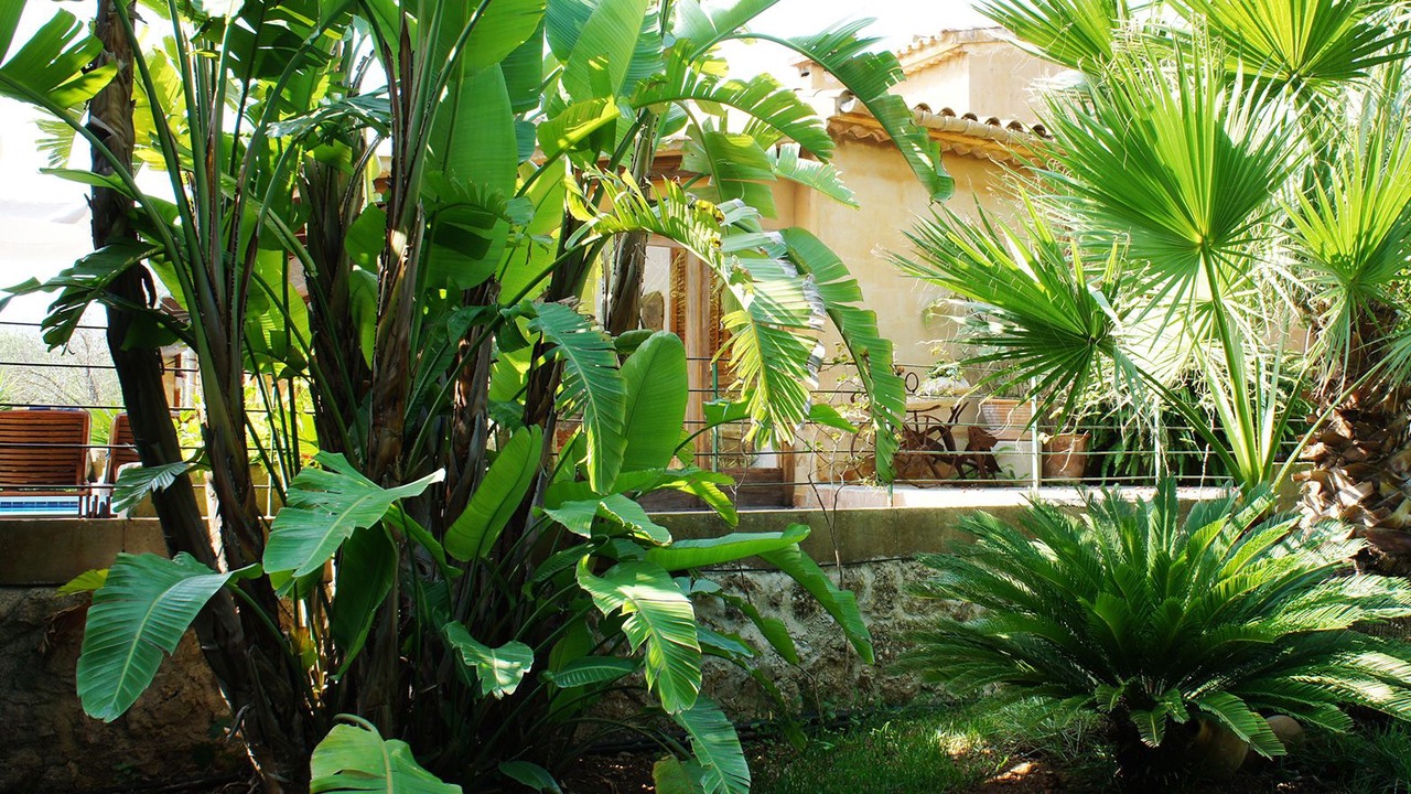 Photo of Outdoor in Pollensa