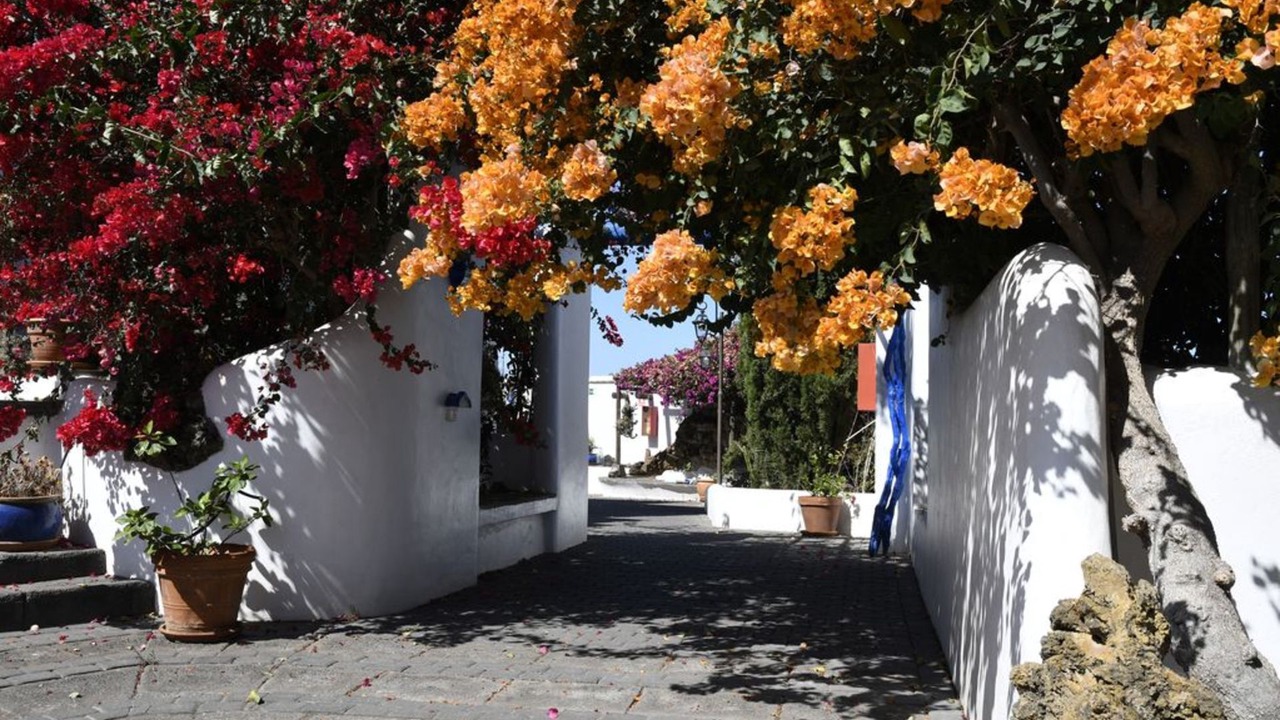 Photo of Outdoor in La Matanza de Acentejo