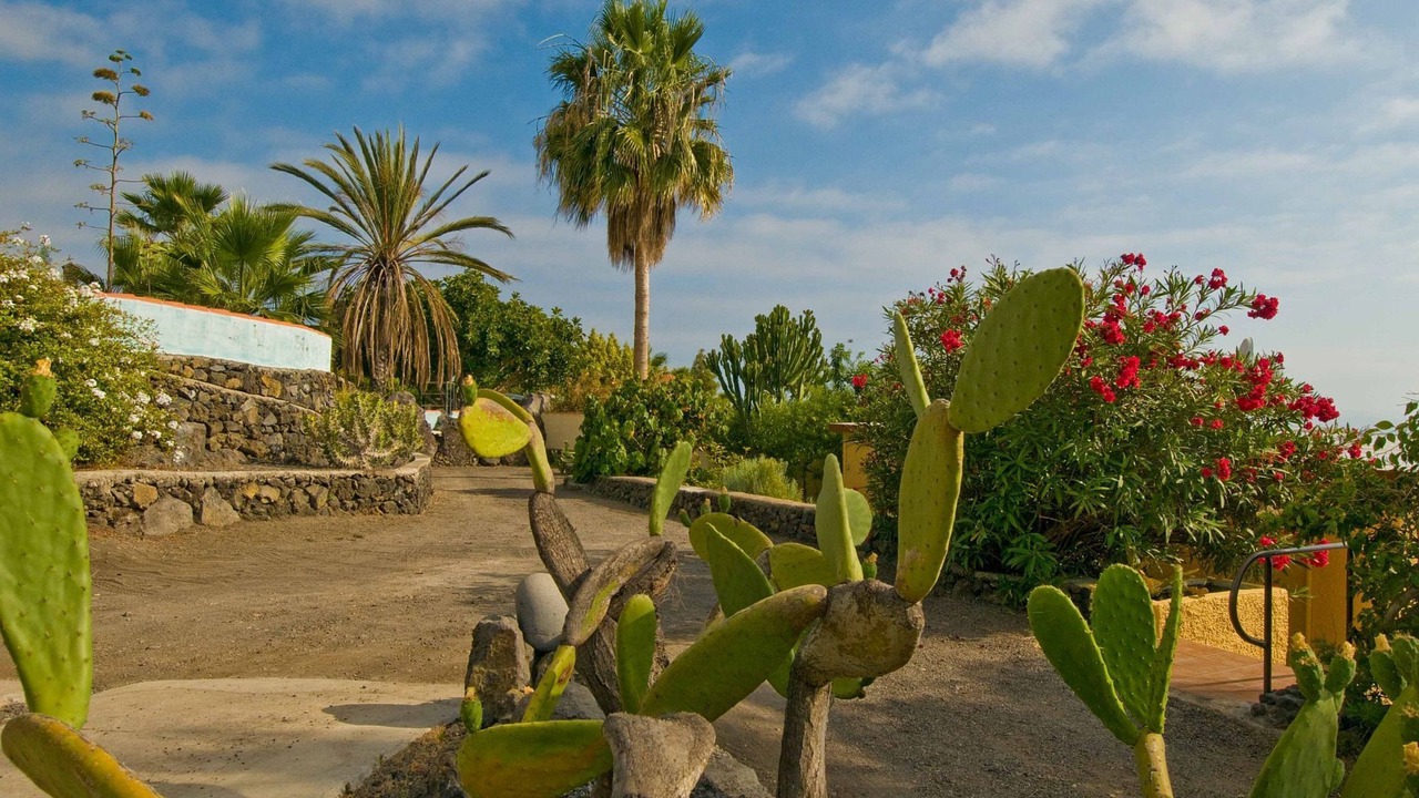 Photo of Outdoor in Puerto Naos