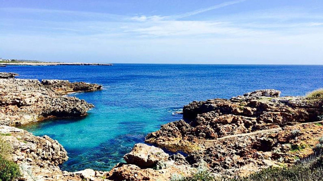 Photo of Others in Cala'n Bosch