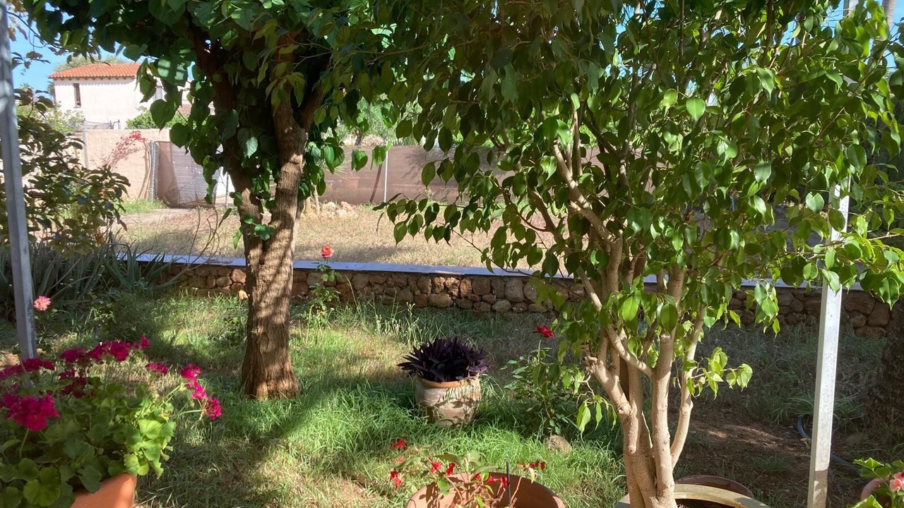 Photo of Outdoor in Es Garrovers