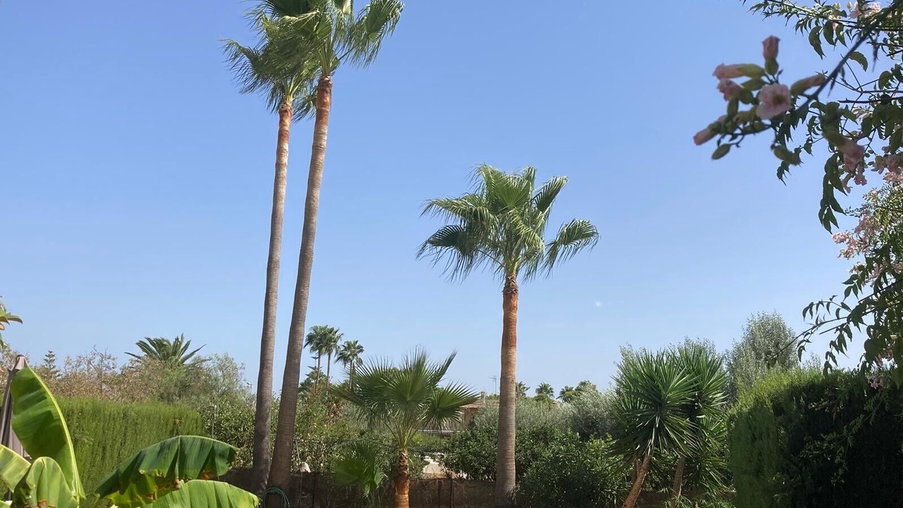 Photo of Outdoor in Es Garrovers