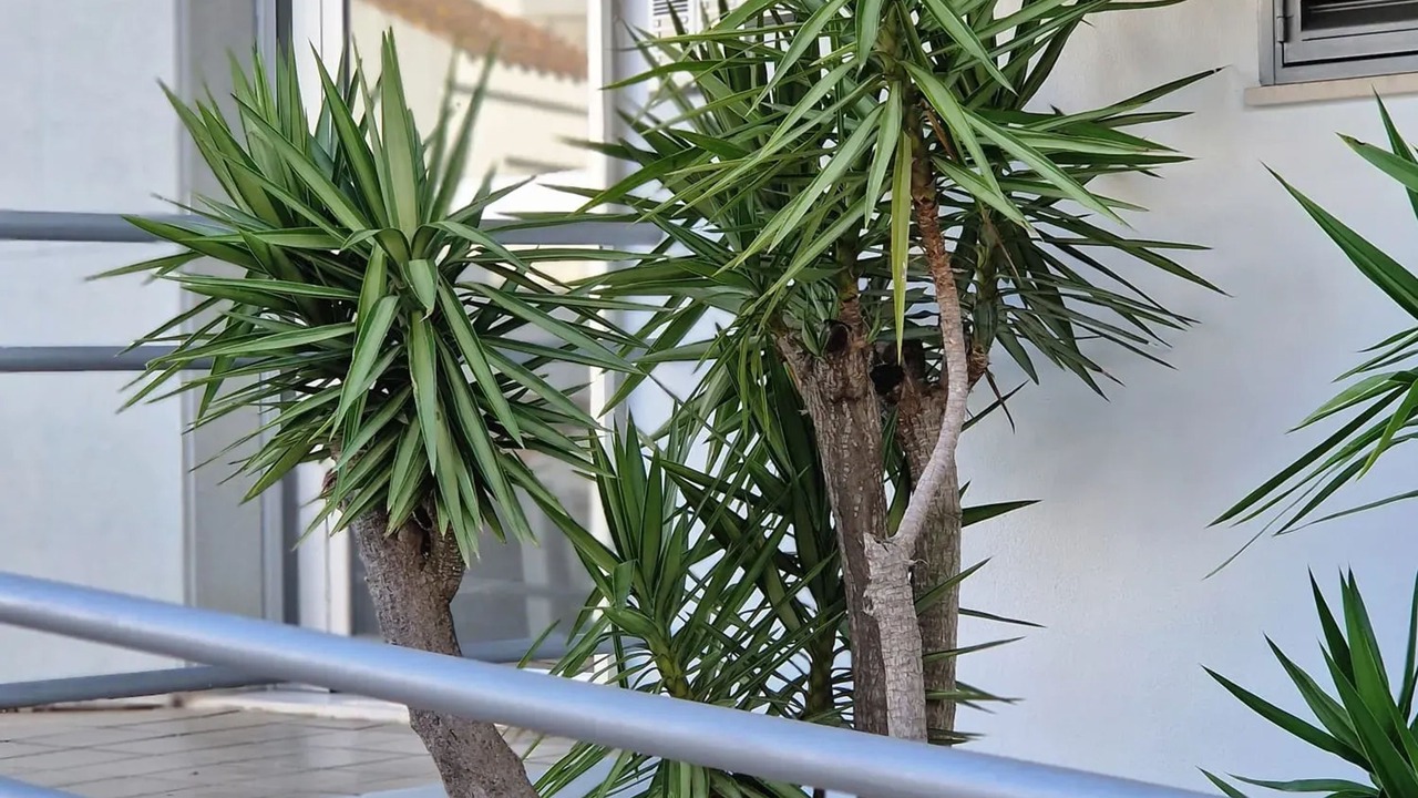 Photo of Outdoor in Sanlucar de Barrameda