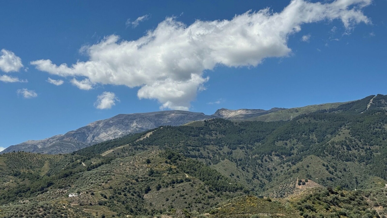 Photo of Others in Canillas de Albaida