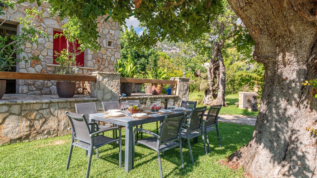 Photo of Outdoor in Selva