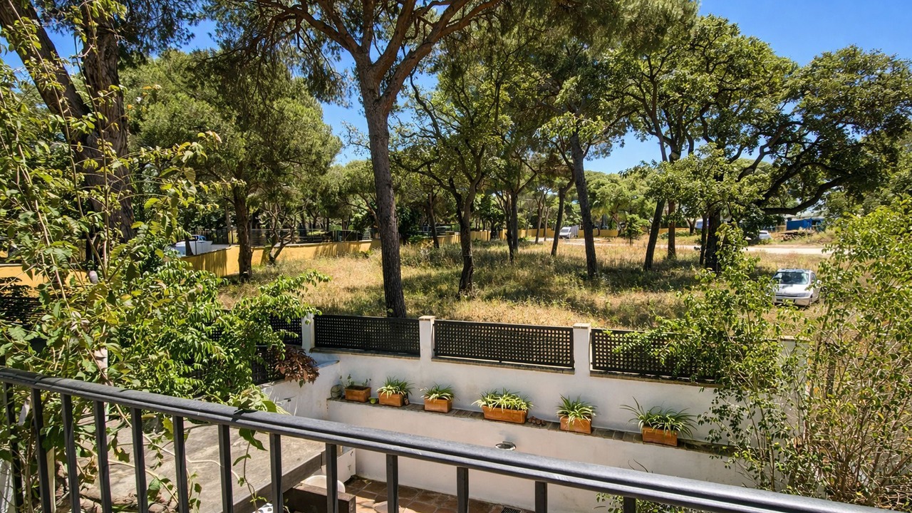 Photo of Outdoor in Elviria