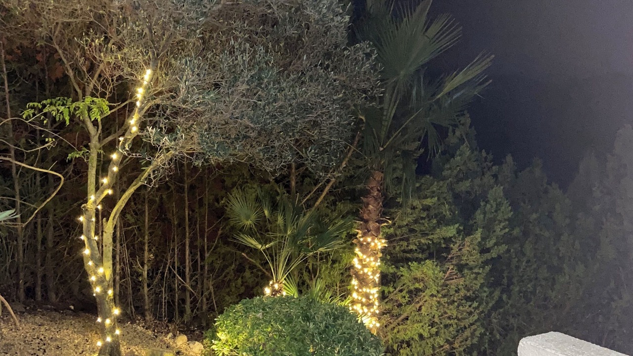 Photo of Outdoor in Pedreguer