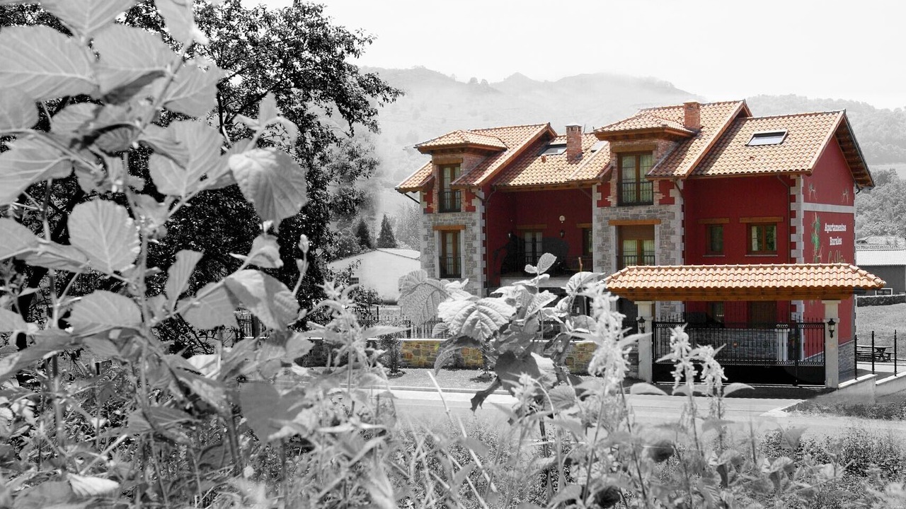 Photo of Outdoor in Corao
