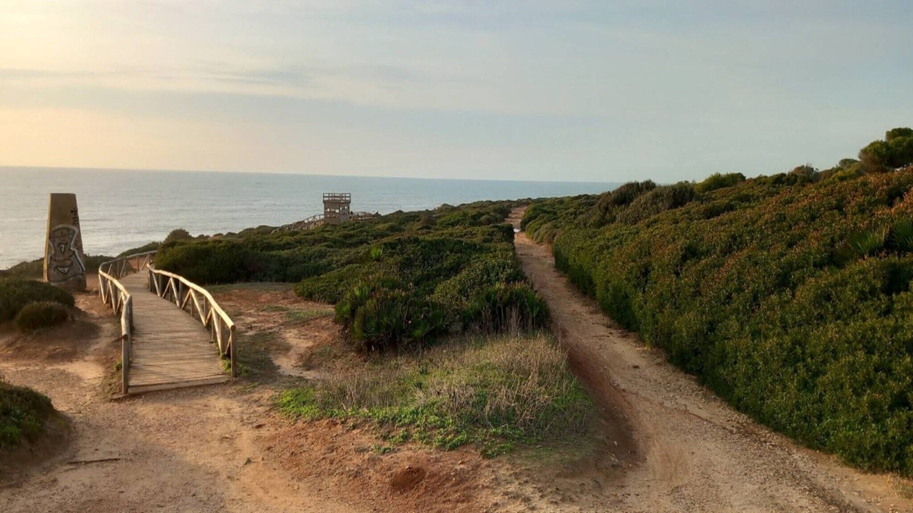 Photo of Others in El Palmar