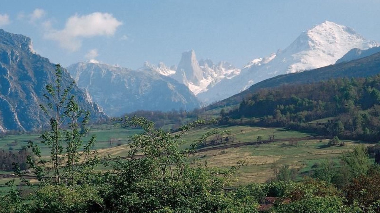 Photo of Others in Pruneda