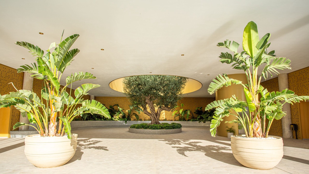 Photo of Outdoor in Cala