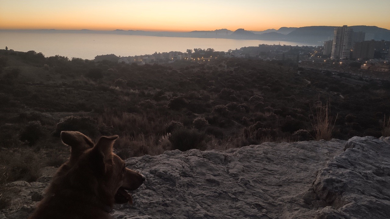 Photo of Others in Cabo de las Huertas