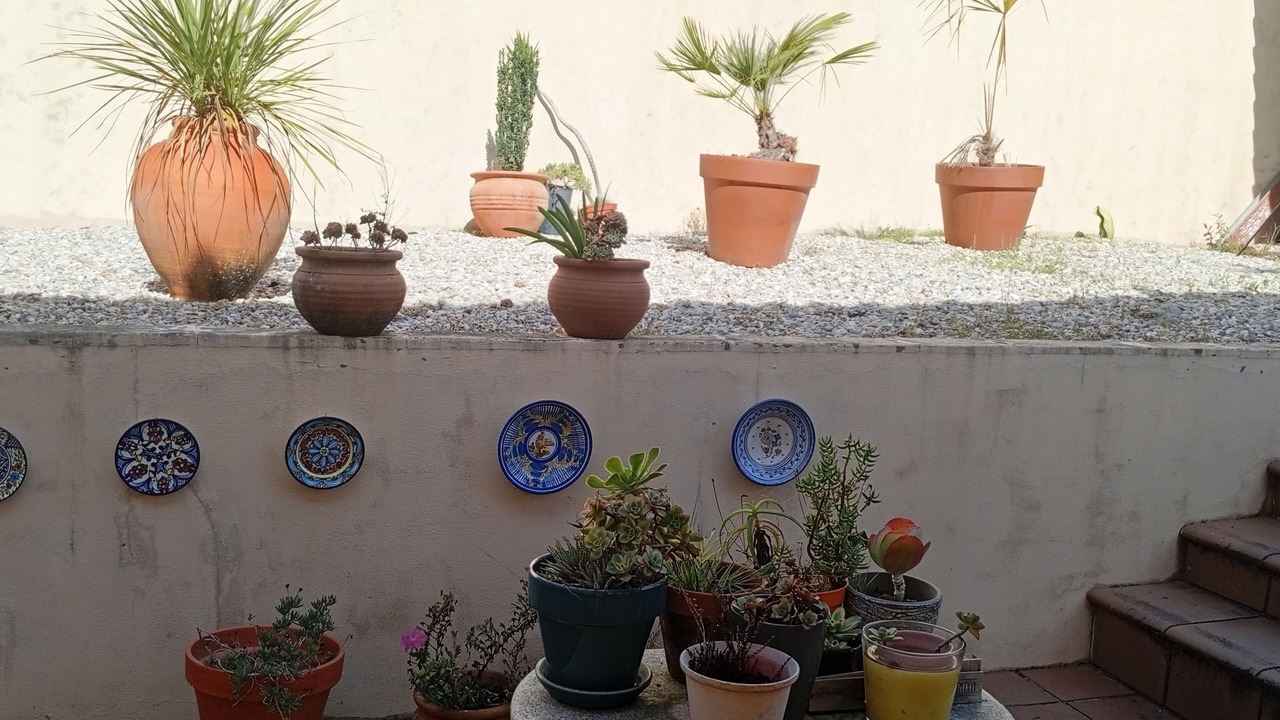 Photo of Outdoor in Covelo