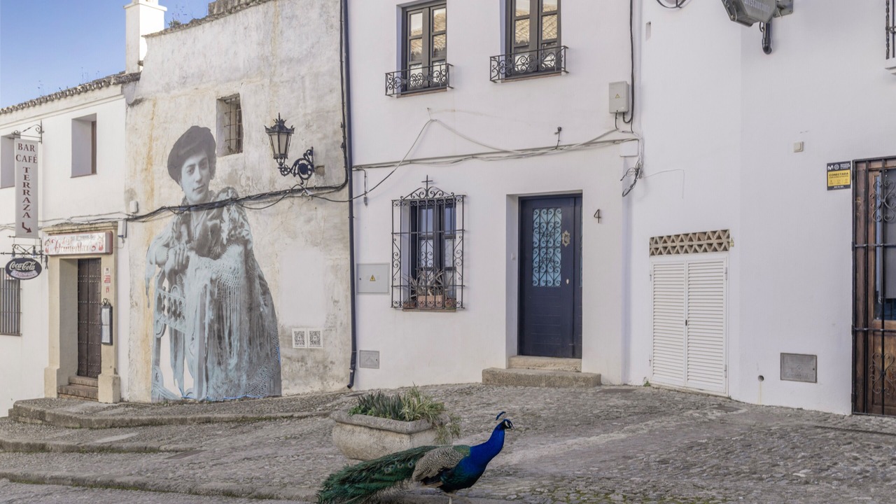 Photo of Outdoor in Ronda