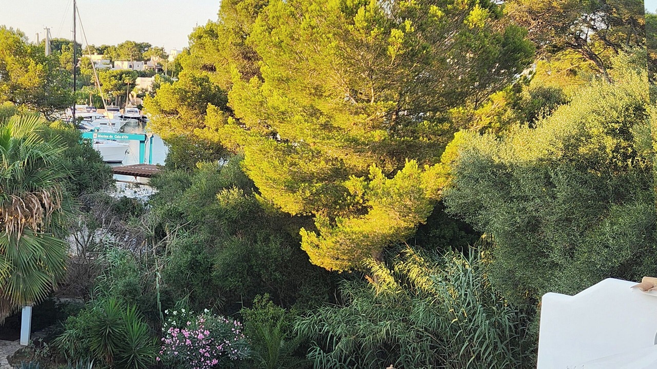 Photo of Outdoor in Cala d'Or