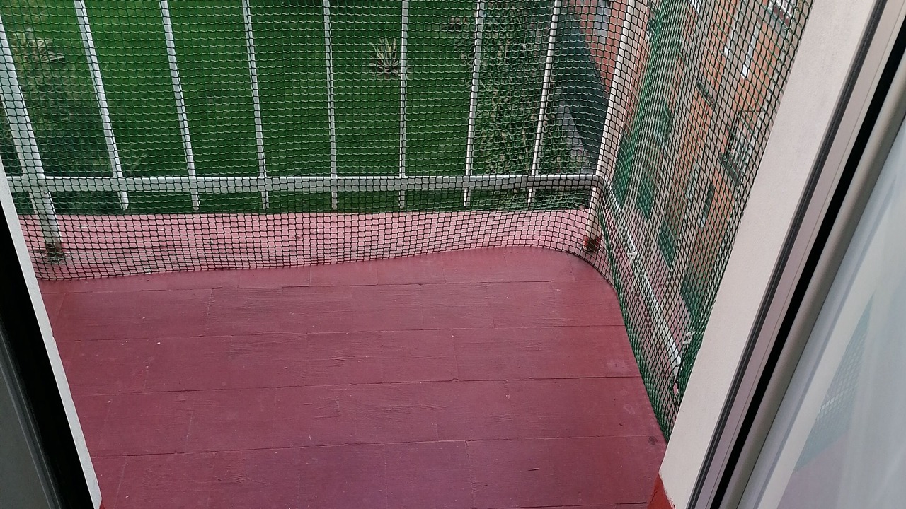 Photo of Others in Gijon-Sur