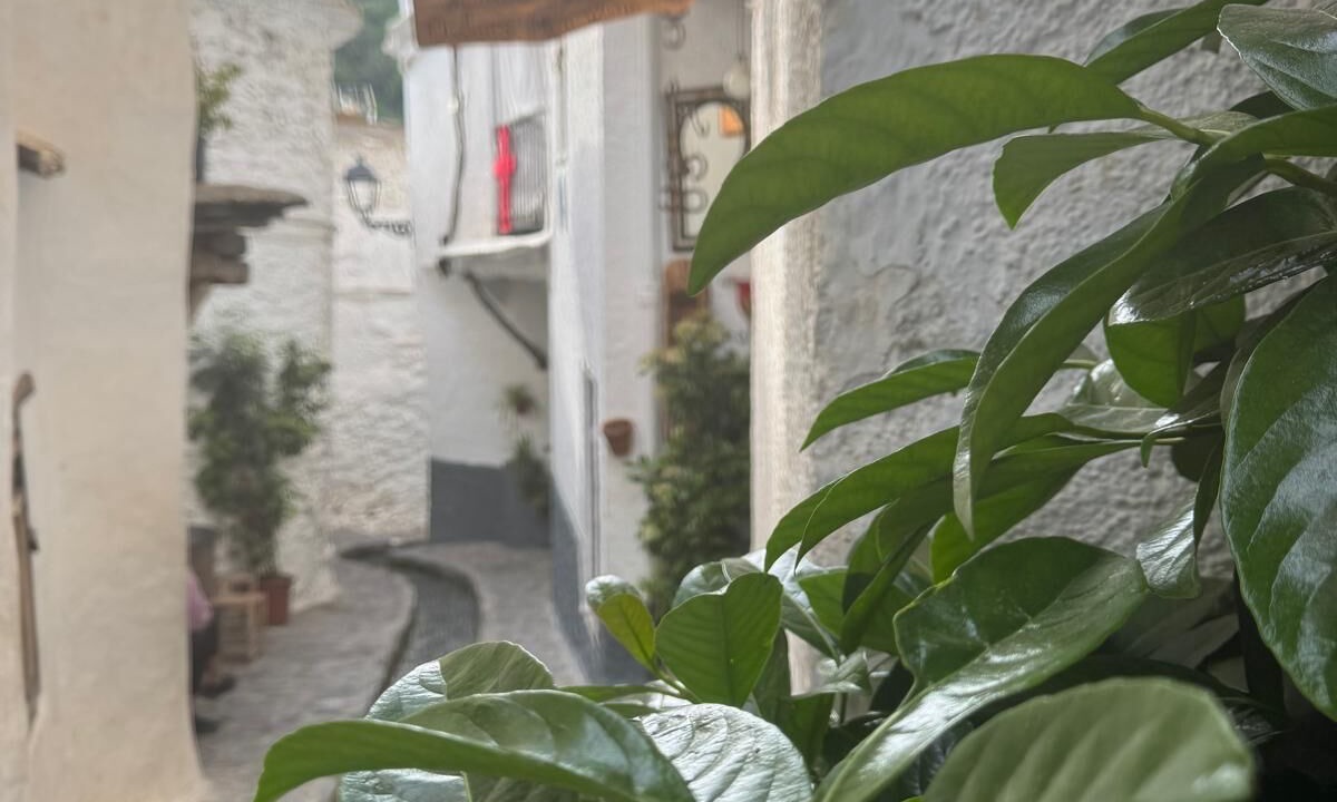 Photo of Outdoor in Pitres