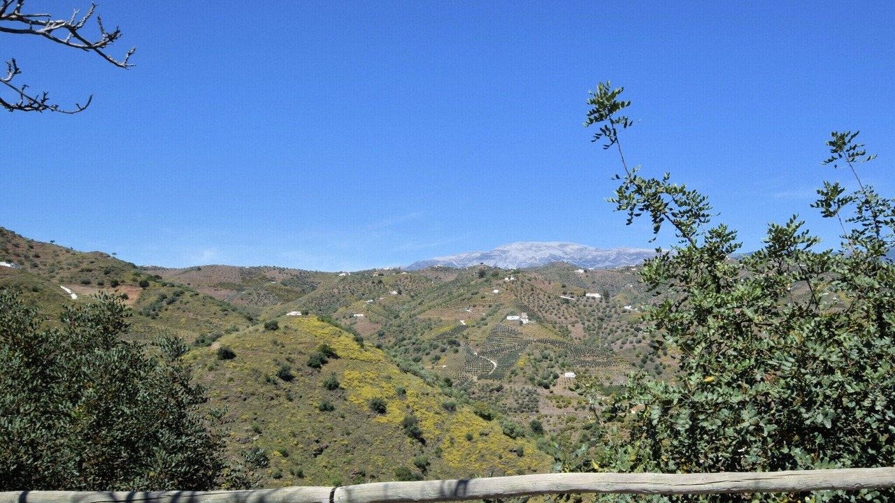 Photo of Others in Canillas de Albaida