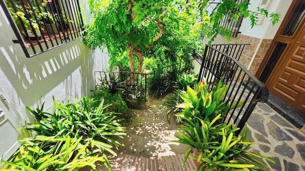 Photo of Outdoor in Canillas de Aceituno