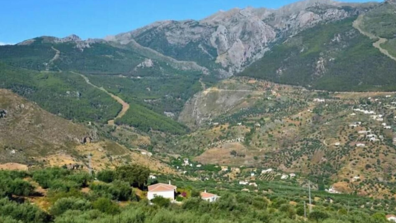 Photo of Others in Los Cortijillos