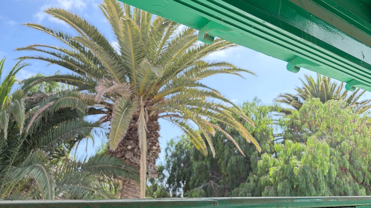 Photo of Outdoor in Costa Teguise