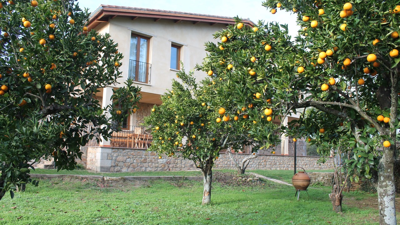 Photo of Outdoor in Cadalso