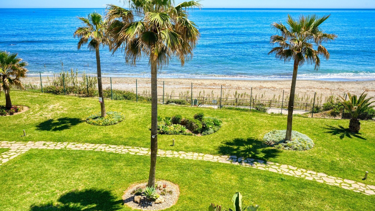 Photo of Others in Bahia de Casares