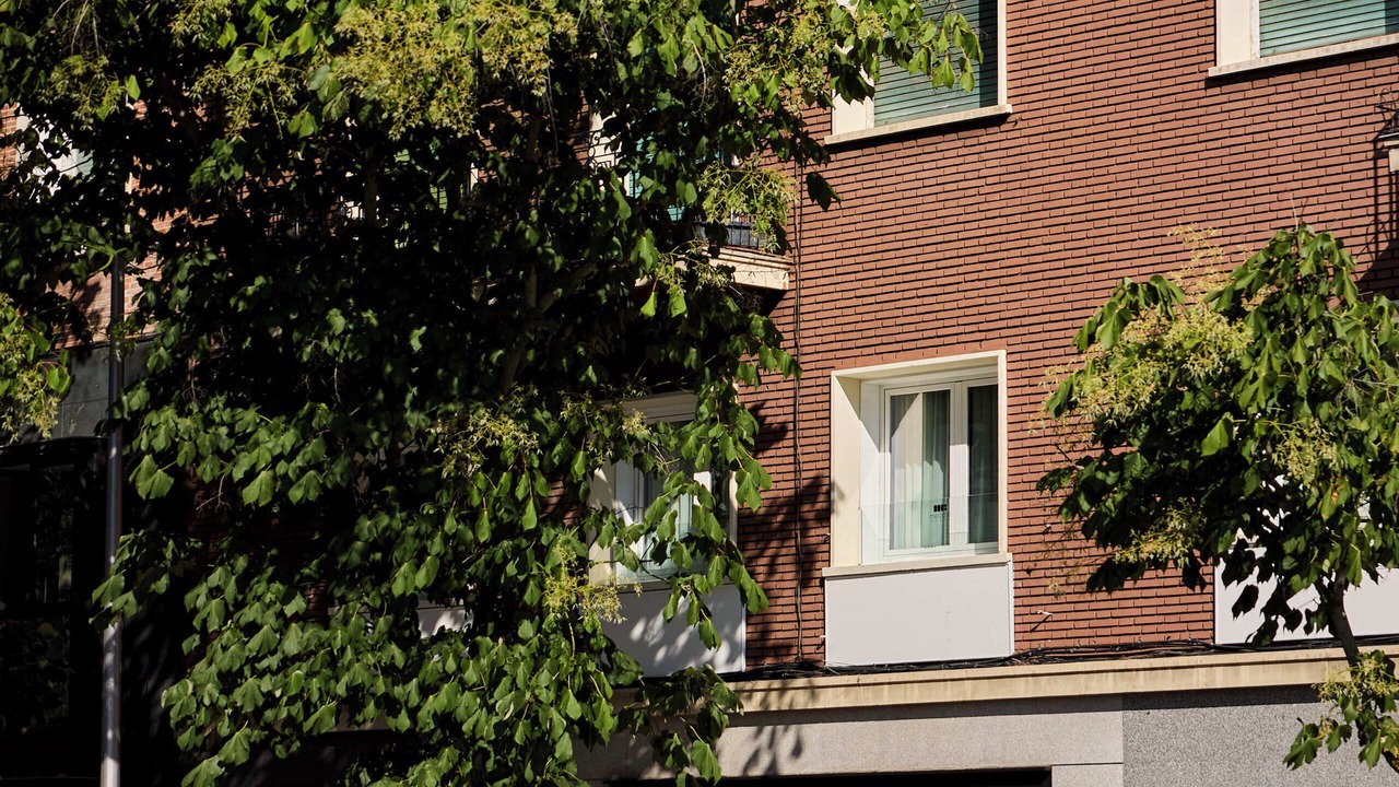 Photo of Outdoor in Carabanchel