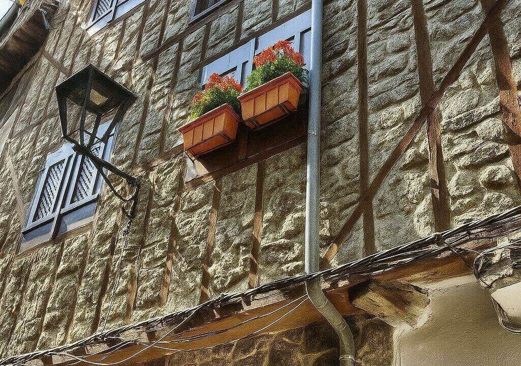 Photo of Outdoor in San Martin del Castanar