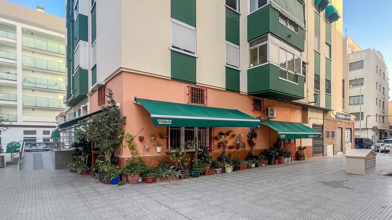 Photo of Outdoor in Los Tilos