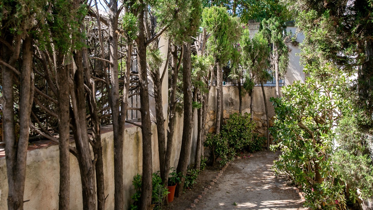 Photo of Outdoor in Pedregalejo